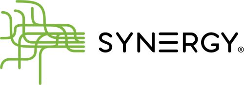 studio synergy EMS logo franczyza